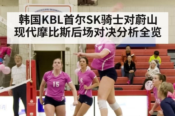 韩国KBL首尔SK骑士对蔚山现代摩比斯后场对决分析全览